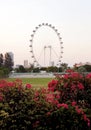 The Singapore Flyer is a giant Ferris wheel Royalty Free Stock Photo