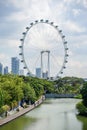 Singapore Flyer, the giant ferris wheel, Singapore Royalty Free Stock Photo