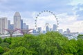 Singapore Flyer and Supertrees