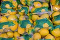 Singapore 2020 Fresh lemons wrapped in plastic for sale in supermarket. Fruits and vegetables commonly packaged in plastic bags to