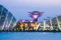 Singapore Garden by the bay Royalty Free Stock Photo