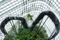 Singapore, GARDEN BY THE BAY view the waterfall and bridge under the dome glass with steel framework Royalty Free Stock Photo