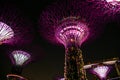 Singapore garden. Buddha, chinatown. Supertrees in Gardens By the Bay, situated in marina bay area in Singapore, it`s a new design