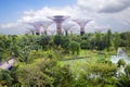 Singapore, Giant trees by the Bay.Futuristic gardens of Singapore.