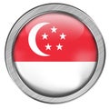 Singapore Glass Web Button