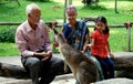 Singapore: Indian Family Feeding Kangaroo Royalty Free Stock Photo