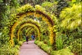 Pedestrian pathway arranged by small yellow orchid flowers place