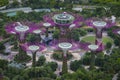 SINGAPORE - January 29 2017 : Garden by the bay,