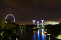 Singapore, 14 January 2016 - Landscape of The Supertree at Gardens by the Bay in Marina Bay evening lights Royalty Free Stock Photo