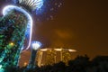 SINGAPORE, July 12, 2018: Show of Super Trees Grove at Gardens b Royalty Free Stock Photo