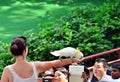 Singapore Jurong Birdpark