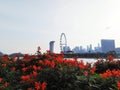 Famous Singapore Ferris Wheel at Sunset