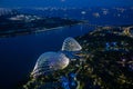 Singapore landscape in the night lights. Royalty Free Stock Photo