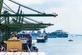 Large container ships with cargo in the containers berthed under gantry cranes at the container terminal