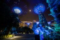 singapore - 3 March  2020: Singapore future park gardens by the bay  supertree and marina bay sands building in the night lights Royalty Free Stock Photo