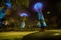 singapore - 3 March  2020: Singapore future park gardens by the bay  supertree and marina bay sands building in the night lights Royalty Free Stock Photo