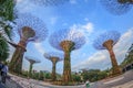 SINGAPORE - MARCH 27: Night view of Supertree Grove at Gardens b