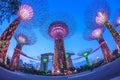 SINGAPORE - MARCH 27: Night view of Supertree Grove at Gardens b