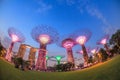 SINGAPORE - MARCH 27: Night view of Supertree Grove at Gardens b