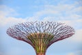 SINGAPORE - MARCH 27: Night view of Supertree Grove at Gardens b