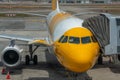 Airplane From Scoot Budget Airlines Royalty Free Stock Photo