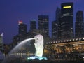 Singapore Merlion - Business District