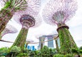 SINGAPORE - NOVEMBER 11, 2018: Supertree grove in garden by the bay. Bottom view