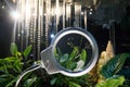 Singapore - Oct 14, 2018: blur of the plants under magnifying glass in Secret garden zone in Cloud Forest Dome in Gardens by the Royalty Free Stock Photo