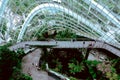 Cloud Forest Dome Conservatory at Gardens by the Bay in Singapore