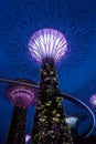 Singapore - Oct 14, 2018: Light show of Supertrees in Gardens by the Bay at night Royalty Free Stock Photo