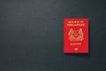 Singapore Passport on dark background with copy space - 3D Illustration