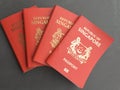 Singapore Passport Royalty Free Stock Photo