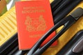 Singapore passport on a yellow suitcase Royalty Free Stock Photo