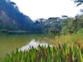 Singapore Quarry lake in Bukit Timah nature reserve