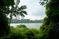 S`pore`s Central Catchment Nature Reserve consists of young & mature secondary forests, with virgin forests around the reservoirs Royalty Free Stock Photo