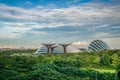 Singapore`s super trees in Gardens by the Bay