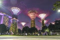 Singapore, September 29: Gardens by the Bay. Night view of the light tree show in Singapore Royalty Free Stock Photo