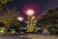 Singapore, September 29: Gardens by the Bay. Night view of the light tree show in Singapore