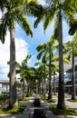 Singapore-The Shoppes Concourse 4