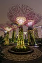 Singapore, Singapore - circa September 2015: Supertree Grove in Gardens by the Bay, Singapore Royalty Free Stock Photo