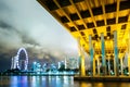 Singapore skyline at night Royalty Free Stock Photo