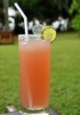 Singapore Sling