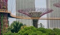 Super trees and elevated walkway