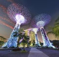 Singapore - Supertree garden at night, garden by the bay Royalty Free Stock Photo