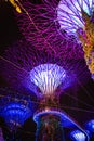 SINGAPORE: Supertrees and bridge illuminated for light show in gardens by the bay