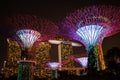 SINGAPORE: Supertrees and bridge illuminated for light show in gardens by the bay