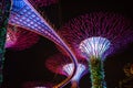 SINGAPORE: Supertrees and bridge illuminated for light show in gardens by the bay