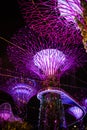 SINGAPORE: Supertrees and bridge illuminated for light show in gardens by the bay