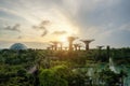 Singapore Supertrees in garden by the bay in moring at Bay South Royalty Free Stock Photo