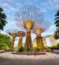 Singapore Supertrees in garden by the bay at Bay South Singapore Royalty Free Stock Photo